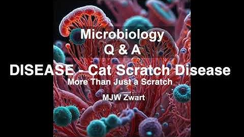 Microbiology Q&A Disease   Cat Scratch Disease: More Than Just a Scratch