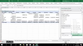 CIS 2010 Pivot Tables