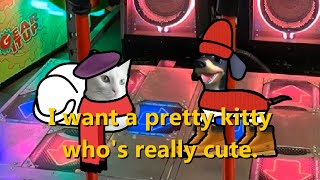Papas Gatito 25