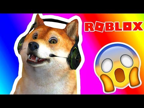 Doge Attack We Taking Over Servers In Roblox Youtube - magikarp films roblox booga booga