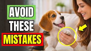 VETS WARN: 10 Mistakes to Avoid to Prevent a Spoiled Dog!