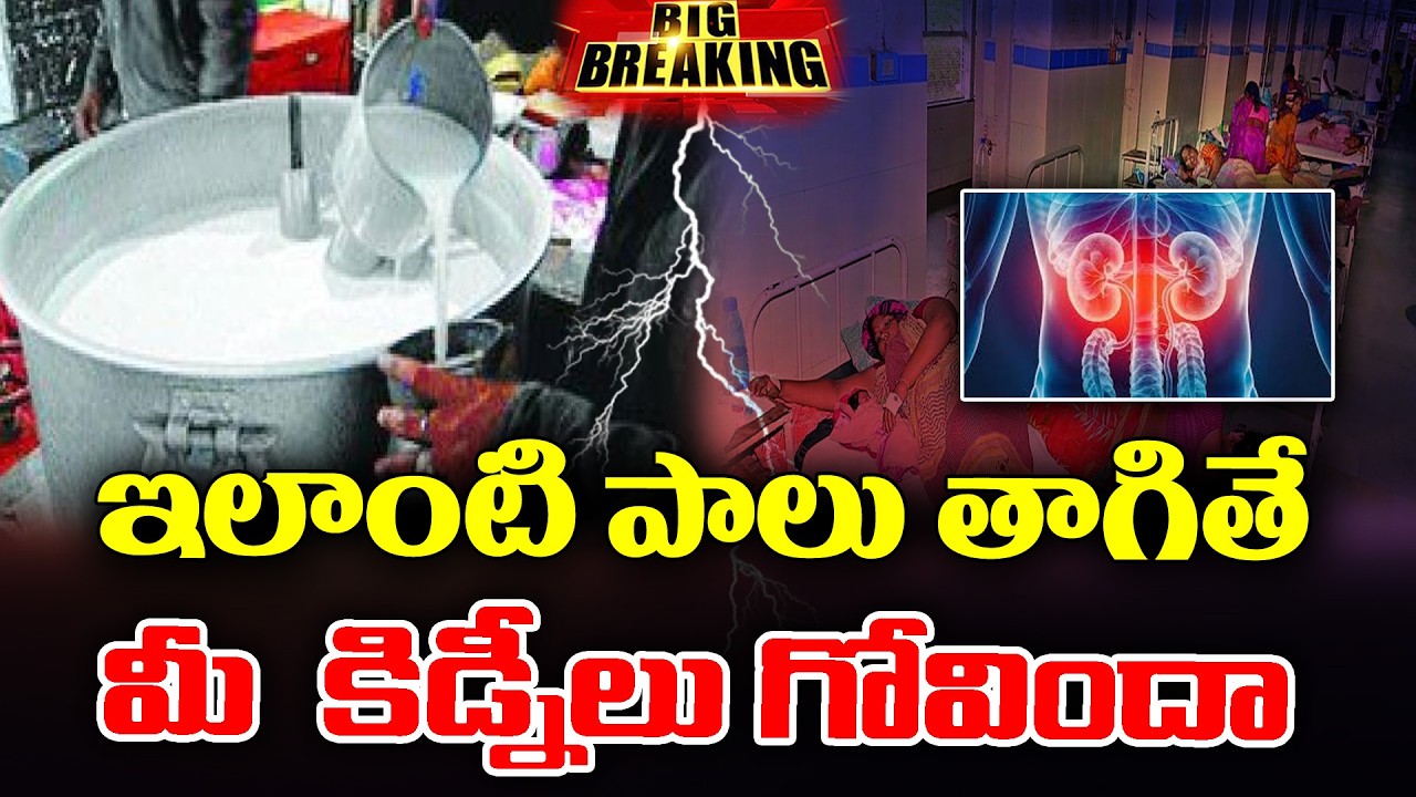 LIVE 🔴:  What kind of impact shown on kidneys from Adulterated Milk ? | KKNewsTelugu