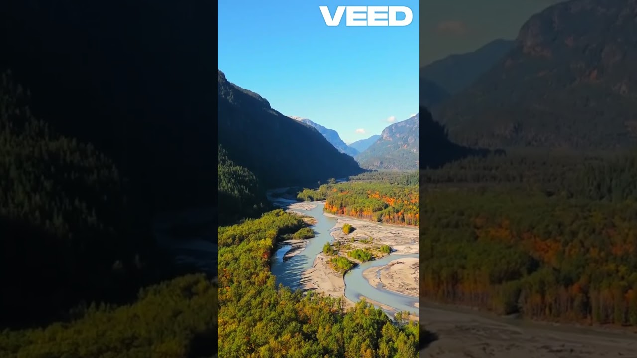 Enchanting Jungle Oasis  Nature's Symphony VEED 