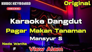 Download lagu Pagar Makan Tanaman Karaoke Nada Wanita