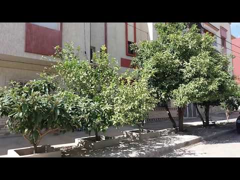 واد امليل اقليم تازة