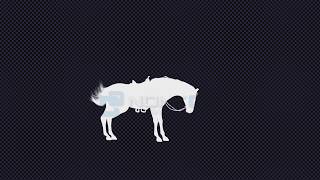 Horse Rise Silhouette