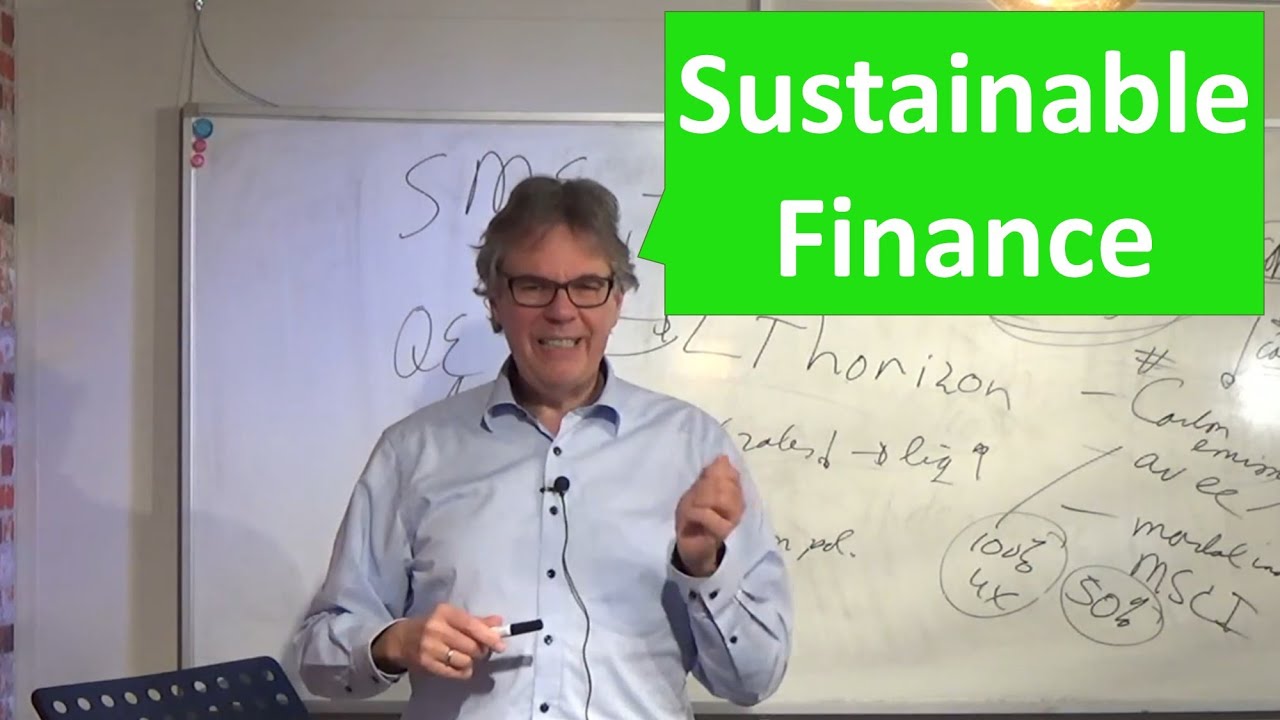 Guest lecture Prof. Schoenmaker: Sustainable Finance