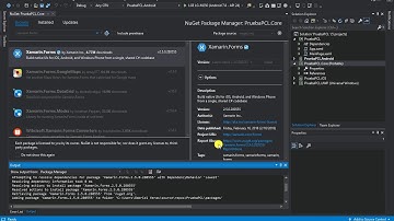 Convertir proyecto .NET Standard a PCL (Xamarin.Forms)