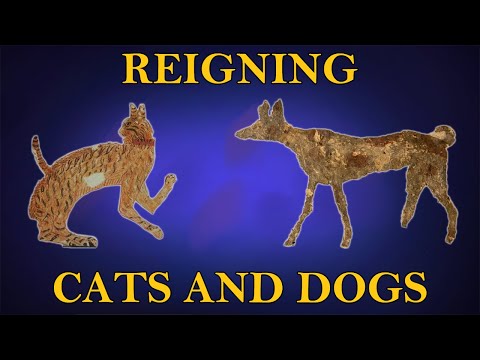 Video: Pet Scoop: Kate Middleton Menyambut Anjing Beruntung, Orang Mesir Kuno Mungkin Memiliki Kucing Peliharaan
