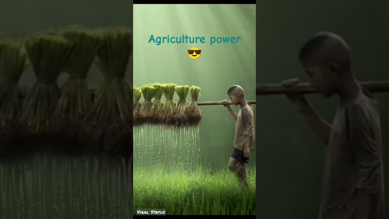 This is Power of agriculture 😎।#agriculture #discovery #viral #shortvideo #videoediting
