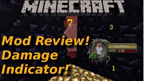 Minecraft Damage Indicators Mod Review! See dealt damage! See HP!