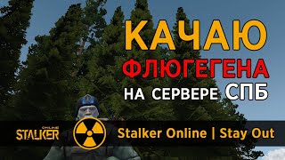 47. Качаю ФЛЮГЕГЕНа. Часть 3. Сервер СПБ. Сталкер Онлайн | Stalker Online | Stay Out