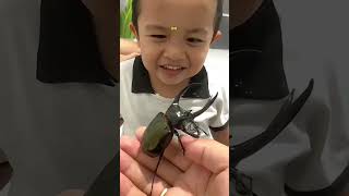 The Secret of the Horned Beetle's Steel Neck: Small but Powerful #shorts1006 #jofasttv1105