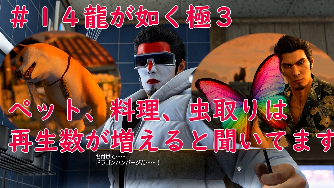 ＃１４犬、料理、虫は数字が取れるんです　龍が如く極３　ネタバレあり