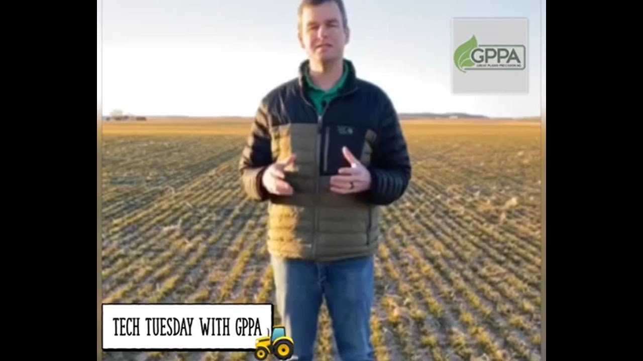 Split Nitrogen Applications in Wheat