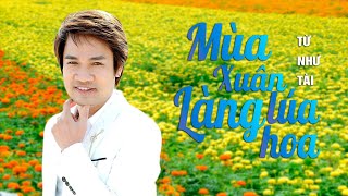 Mùa Xuân Làng Lúa Làng Hoa - Từ Như Tài Nhạc Trữ Tình Quê Hương Sâu Lắng Tình Người