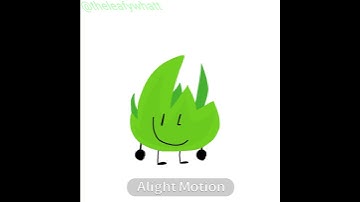 grassy and snowball being the sillies…,,,