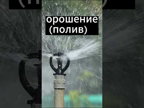 Жесткая и мягкая