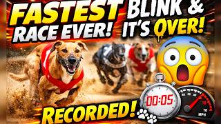 The Fastest Greyhound Race EVER Recorded! Blink and It’s Over! 😱🐾