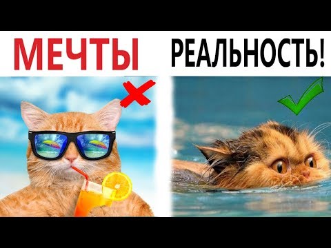 Лютые приколы. ОЖИДАНИЕ – РЕАЛЬНОСТЬ! РЖАКА ДО СЛЁЗ! Самое смешное видео - Domi Show