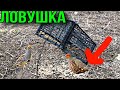 ПРОСТАЯ ЛОВУШКА НА КУРОПАТКУ И МЕЛКУЮ ПТИЦУ !!!