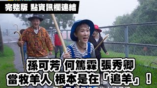 孫可芳 何篤霖 張秀卿清淨當牧羊人 根本是在「追羊」！《花甲少年趣旅行》南投｜MyVideo線上看