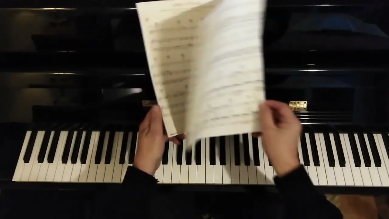 Lettre à France - Michel Polnareff - Piano