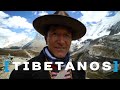 TIBETANOS: así son las gentes que viven en el techo del mundo