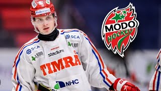 Erik Walli Walterholm Till Modo Shl