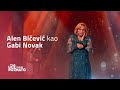 Alen Bičević kao Gabi Novak - Pamtim samo sretne dane image