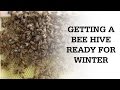 Wintering down a beehive
