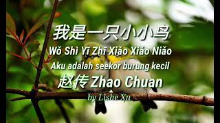 我是一只小小鸟～Wo Shi Yi Zhi Xiao Xiao Niao～ 赵传～ Zhao Chuan