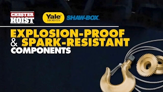 Chester, Yale, ShawBox, Explosion-Proof Wire Rope Hoists by Tri-State Overhead Crane 113 views 7 years ago 1 minute, 8 seconds