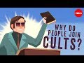 Why do people join cults  janja lalich