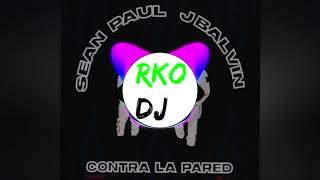 🎧J BALVIN &  SEAN PAUL - CONTRA LA PARED (RKO DJ REMIX)