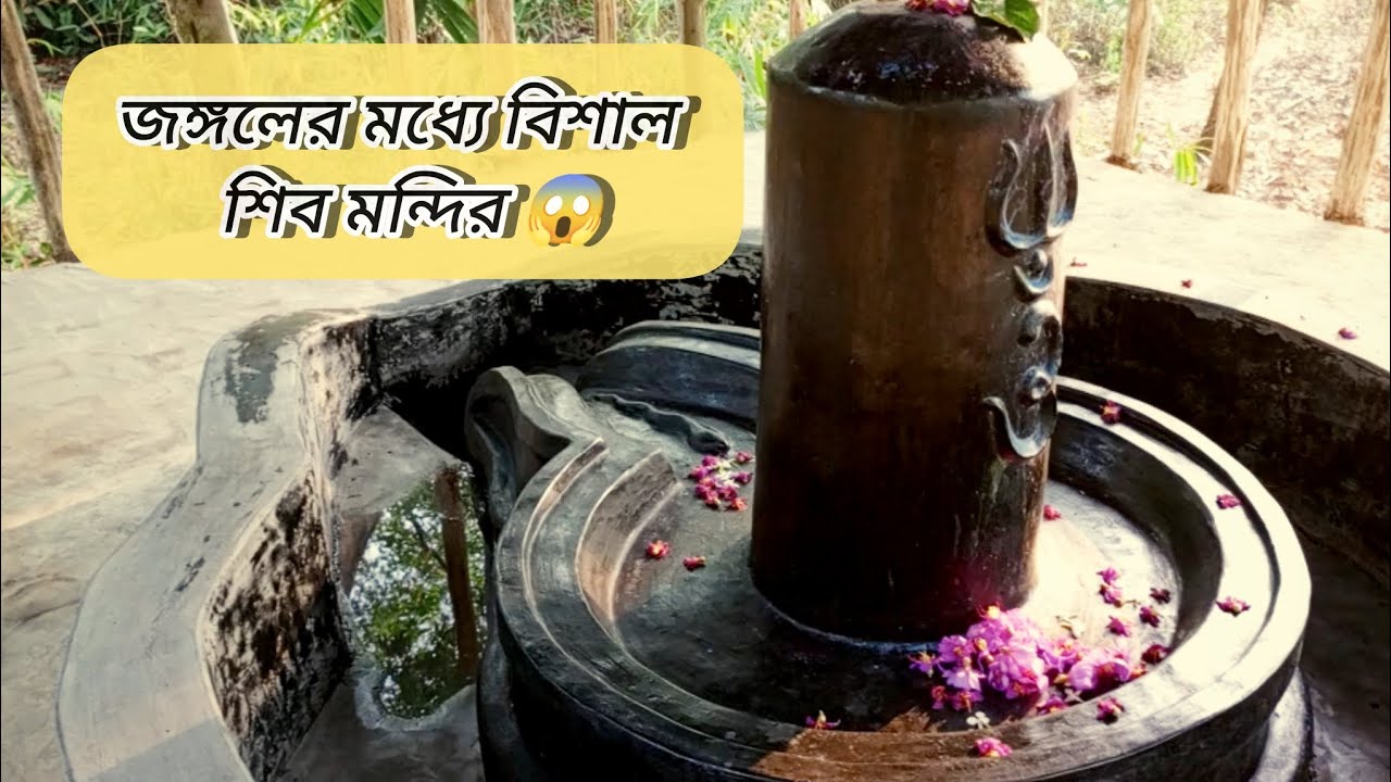 জঙ্গলের মধ্যে বিশাল শিব মন্দির 😱