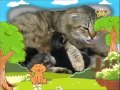 Youtube Thumbnail BabyTV   Bim and Bam   cats english
