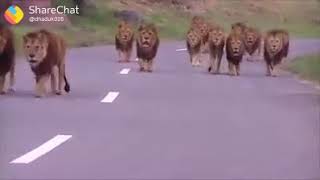 Dosto ni mehfil ma ...Geeta Rabari status