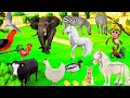Learn family animals cat horse cow chicken animal sounds  animal paradise bd part 1