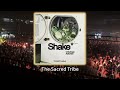 Crisologo, ADDAM (BE) - Shake (Original Mix) - #afrohouse #thesacredtribe