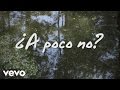 José Madero - ¿A Poco No? (Lyric Video)