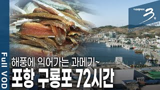 월 매출 1억! 구룡포 과메기 맛의 비밀은? 포항 구룡포 72시간 [다큐3일 KBS 20130203 방송]