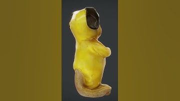 Puppy Figurine in Costume 3D Scan #UnrealEngine #Unity #VR #3DArt #GameDev #VirtualWorlds #Fab