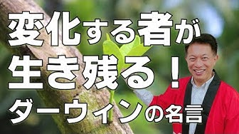 ダーウィンの進化論 Youtube