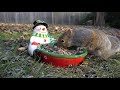 10 Hour Snowman with Squirrels -  December 7, 2020