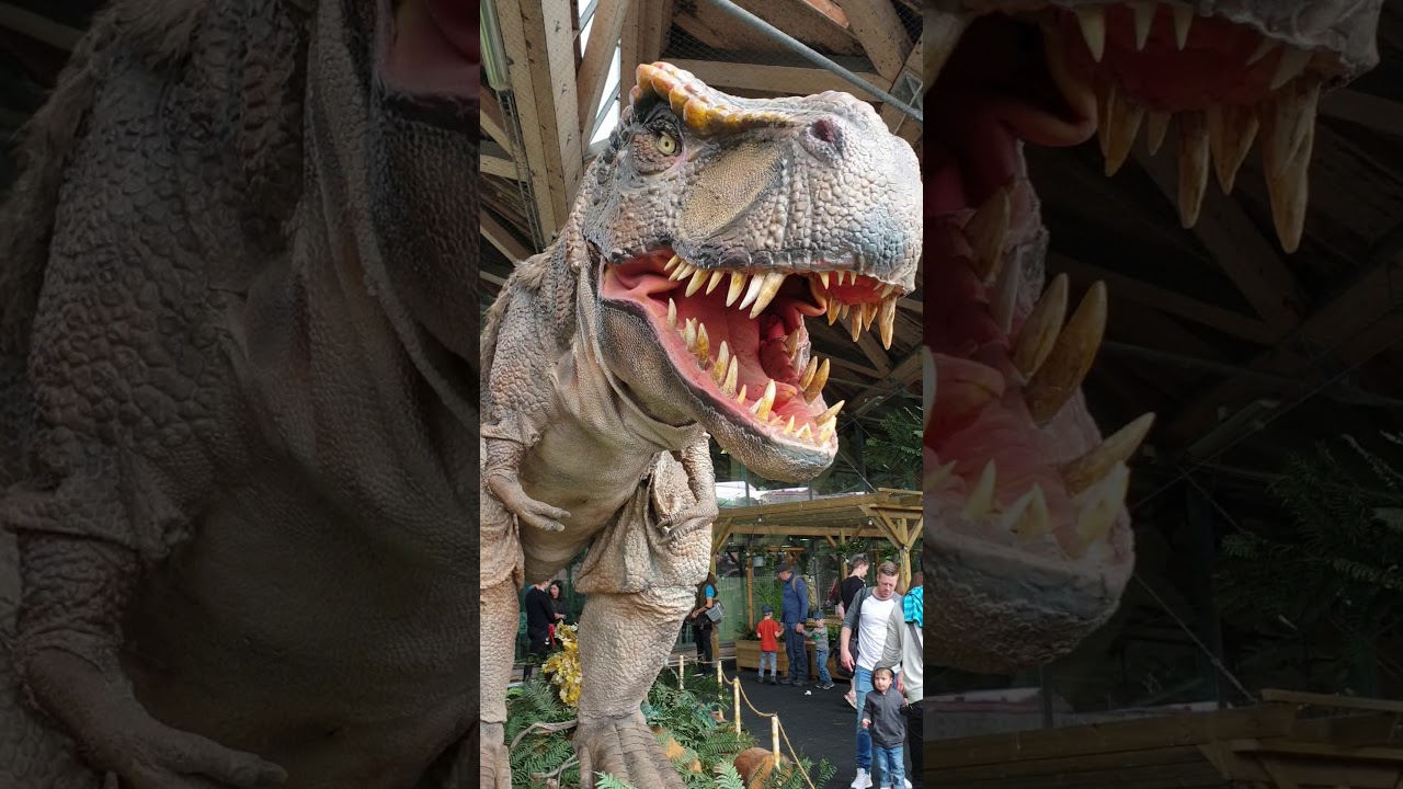 Универсум в Гетеборге