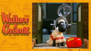 Shopper 13 - Cracking Contraptions - Wallace and Gromit
