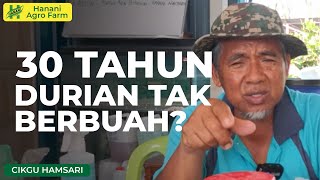 Rawat pokok durian 30 Tahun | Hanani Agro Farm
