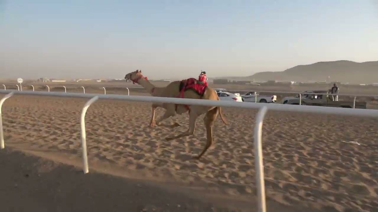 ٥ الدهما لـ ابناء حمود سالم الحويطي