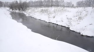 СОН ПРИРОДЫ Футаж